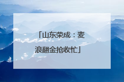 山东荣成：麦浪翻金抢收忙